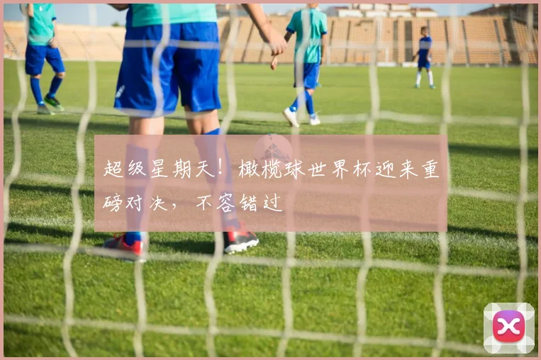 超级星期天！橄榄球世界杯迎来重磅对决，不容错过