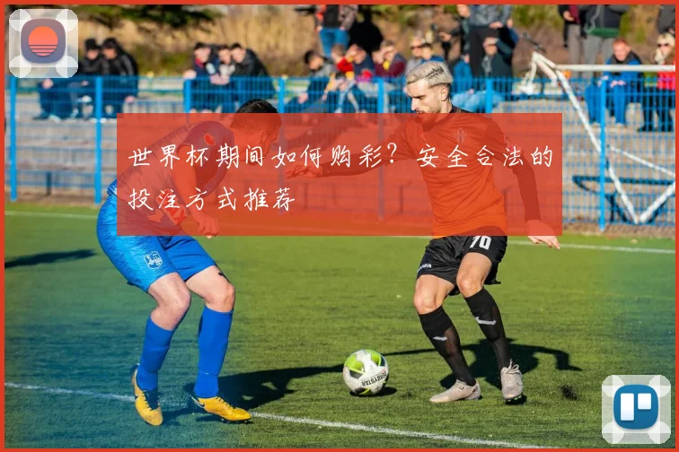 世界杯期间如何购彩？安全合法的投注方式推荐