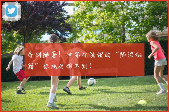 告别酷暑！世界杯场馆的“降温秘籍”你绝对想不到！