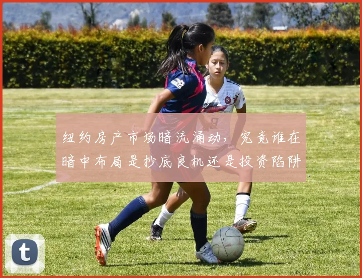 纽约房产市场暗流涌动，究竟谁在暗中布局是抄底良机还是投资陷阱